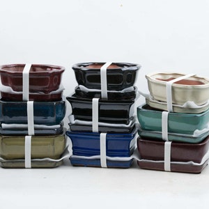 Bonsai Glazed Ceramic Shohin Pot with Tray - 6&quot; with Drain and Wire Holes, for Indoor or Outdoor Bonsai, Succulent Garden