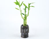 Indoor plant Heart Lucky Bamboo in a Eastern Island head Pot, planter, wedding deco, Housewarming Unique birthday holiday gift
