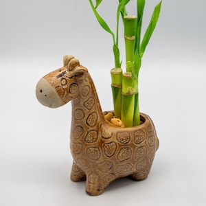Giraffe Small Planter – Ceramic Animal Pot for Succulents or Desk Decor. Unique Gift with Optional Bamboo, Palm, Coffee or Polka Dot Plant