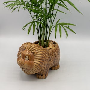 May include: A decorative lion-shaped planter in shades of brown, filled with a green plant. The planter has a detailed, textured design and is filled with small pebbles. The plant has long, slender green leaves.