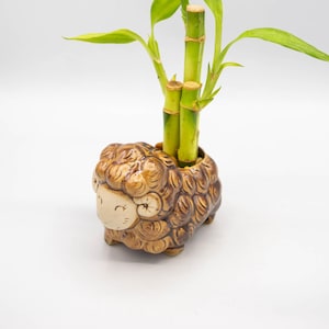 May include: A ceramic sheep planter with a brown glaze holds a lucky bamboo plant. The bamboo stalks are green, and the leaves are a vibrant green. The planter is a decorative item.