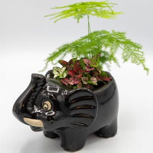 Large Ceramic Elephant Planter: Disney's Animal Kingdom Inspired