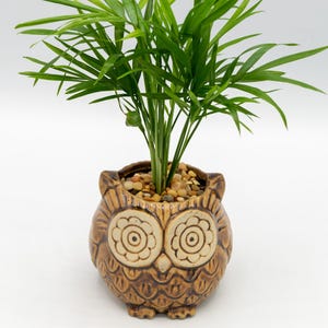 Own Pottery for indoor outdoor plant, animal planter, mini plant, bamboo, palm, succulent, coffee, unique office, holiday, birthday gift