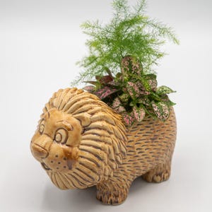 Ceramic Lion Planter: Jungle Decor, Optional Live Plant