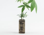 Money Tree mini palms indoor plant in Chinese quot Promotion quot handmade pot, bonsai, office grand open gift, bring fortune, unique Holiday Gif