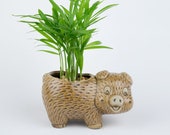 Cute little piggy planter with mini palm tree, succulent, lucky bamboo, air plant, animal planter, unique birthday, house , holiday gift