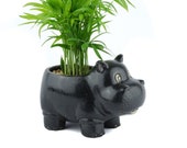 Hippo planter with mini palm tree, succulent, lucky bamboo, air plant, animal planter vase, unique birthday, house warming, holiday gift