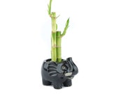 Indoor plant Lucky Bamboo in a black elephant Pot, wild animal planter, wedding deco, Housewarming Unique birthday holiday gift