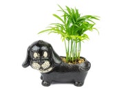 Weiner Dog planter with mini palm tree, succulent, lucky bamboo, air plant, animal planter, unique birthday, house warming, holiday gift