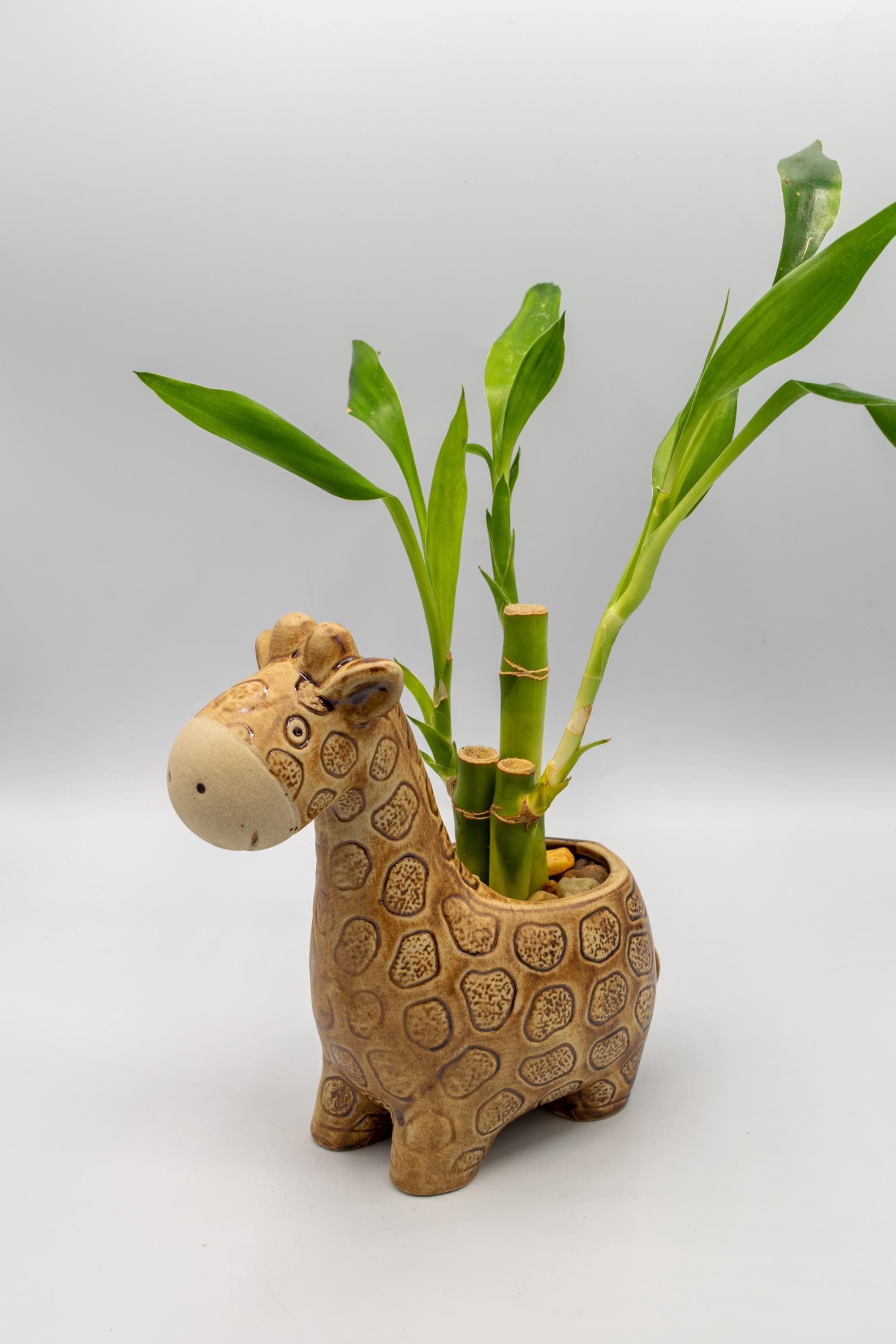 Giraffe Large Planter: Animal Pottery Pen Holder, Succulent & Air Plant Pot  - Etsy