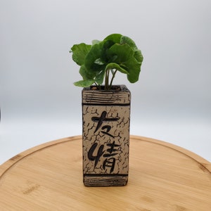 christmas plant pots Mini Christmas Cactus Trio (2in Pots) (Currently Not Blooming) main image 0