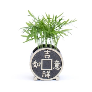 Coin Chinese Oriental Black Planter Potted Plants, Coffee, Parlor Palm, Hypoestes, Lucky Bamboo, Fern, Unique Gift