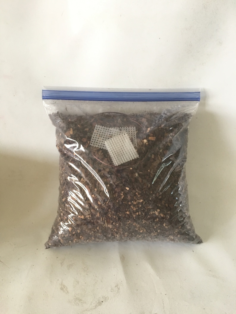 Bonsai Soil well drain soil mix for Juniper Jade Etsy