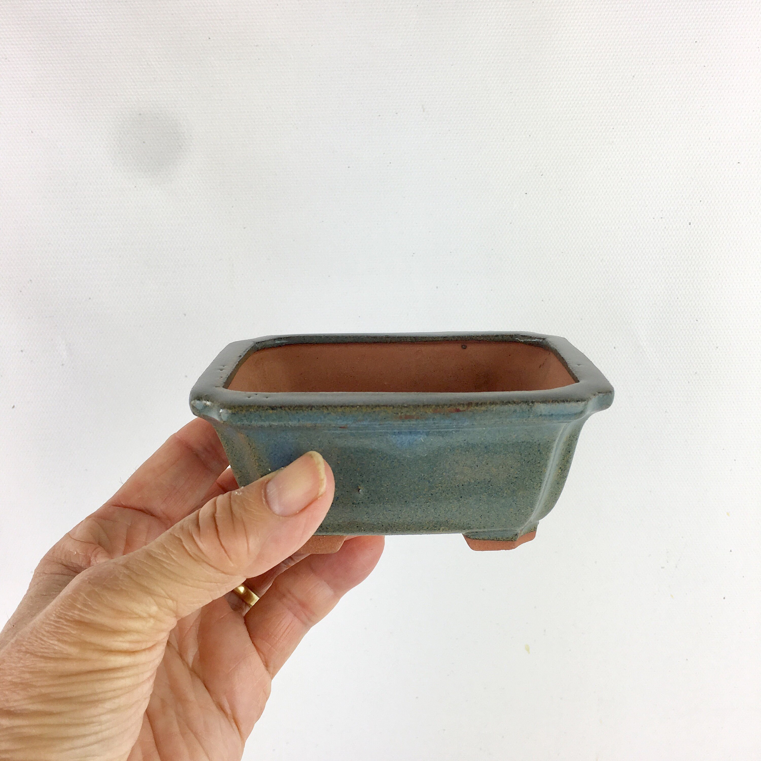 Bonsai mame pot 4 for indoor outdoor small bonsai tree Etsy