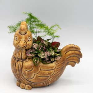 May include: A brown ceramic hen-shaped planter filled with greenery and plants with pink and green leaves. The planter has a detailed design and is set against a white background. The hen has a detailed face and tail.