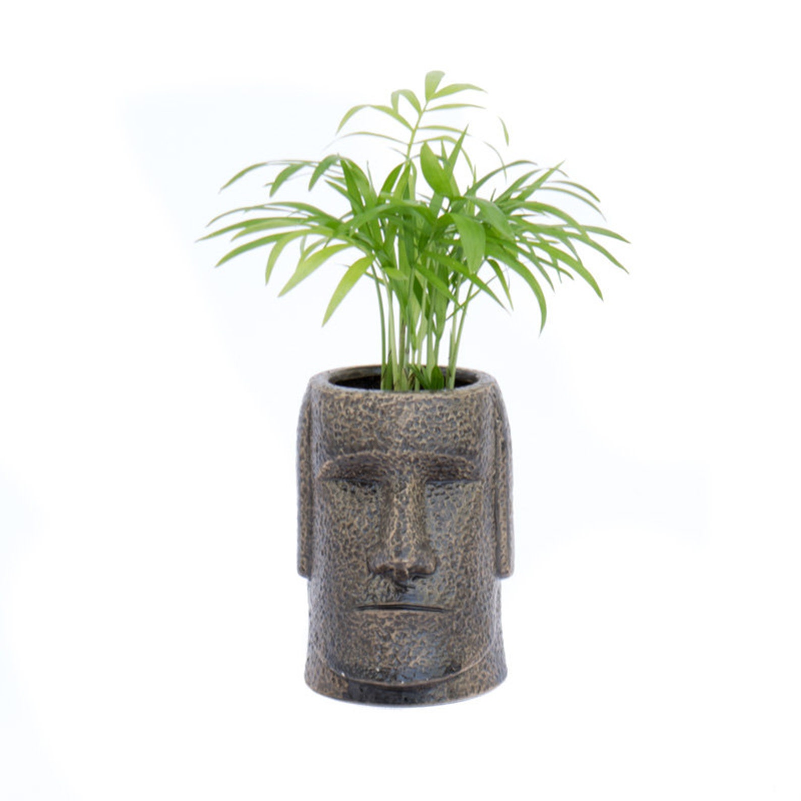 Easter Island Head Mo'ai Head Pottery With Coffee Plant Etsy