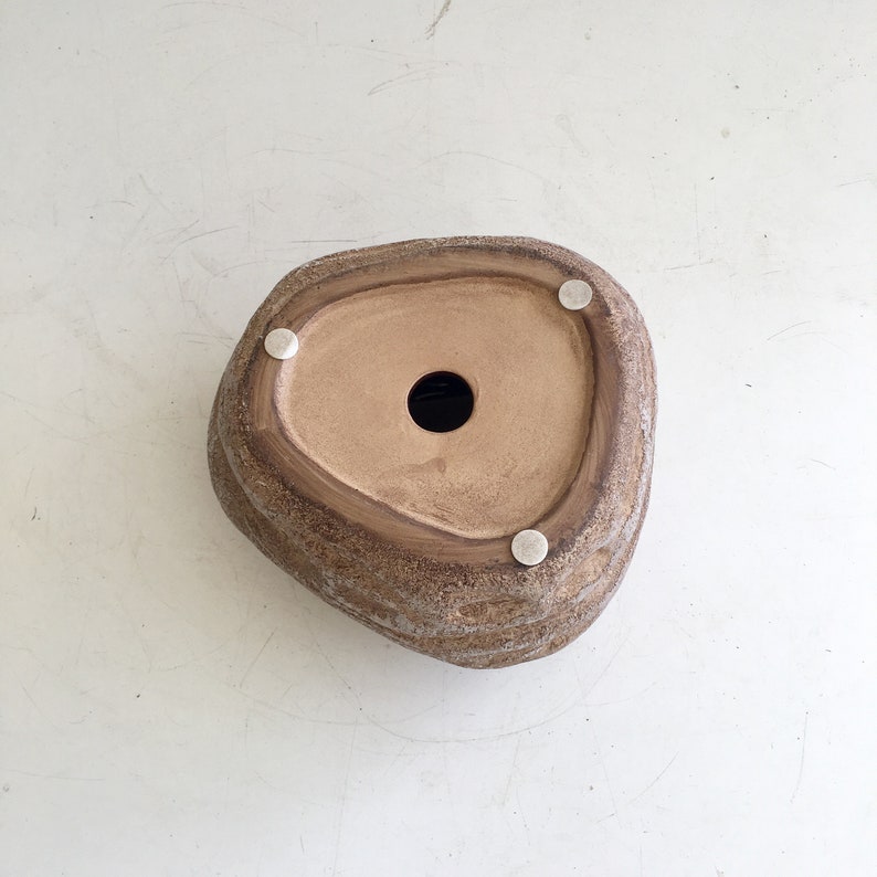 May include: A brown, textured ceramic planter with a unique, organic shape. The interior is a lighter tan color, and a drainage hole is visible at the center. Small, white pads are attached to the bottom.