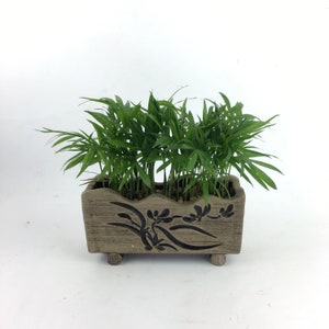 Floral Brushed Handmade Planter with Parlor Palm
