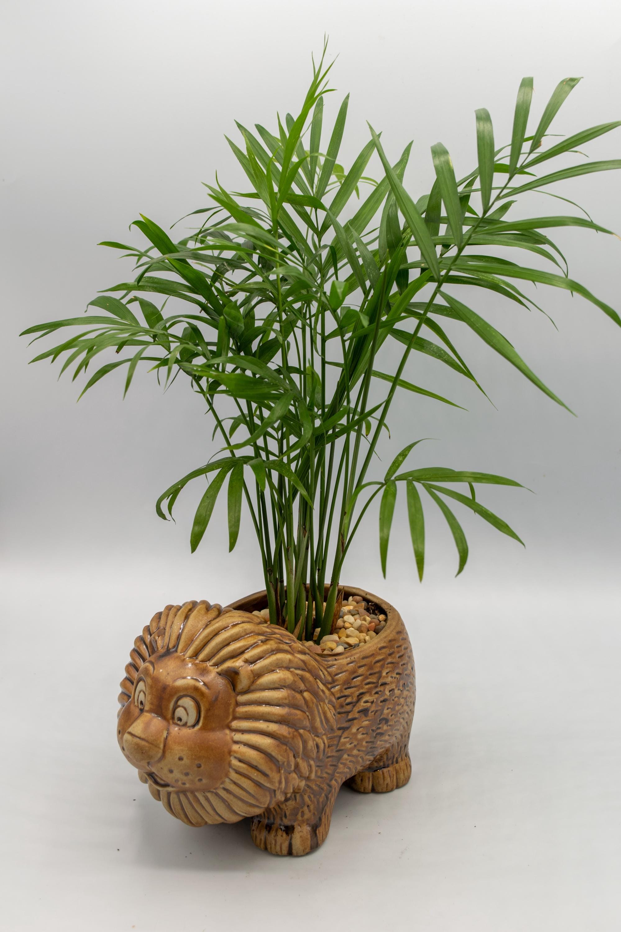 Planter pots 20 x 20 - Etsy 日本