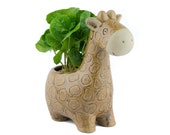 Giraffe Small Planter Potted Plants, Animal Planter, Coffee, Parlor Palm, Hypoestes, Lucky Bamboo, Fern, Unique Gift