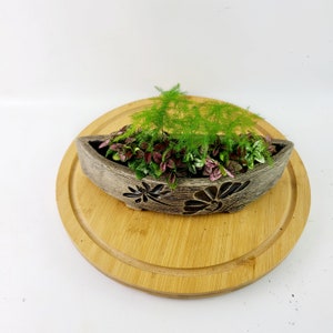 Handmade Floral Planter with Polka Dot Plant, Lucky Bamboo & Fern