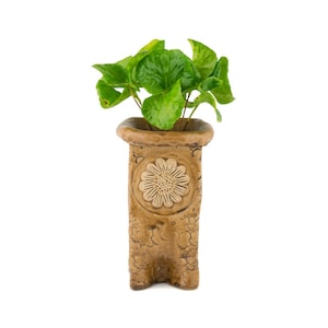 Daisy Flower Handmade Planter with Potted House Plants - Coffee Parlor Palm Polka Dot Lucky Bamboo and Fern - Unique Gift for Plant Lovers
