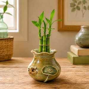 May include: A ceramic vase with a glossy green and yellow glaze, featuring a sculpted frog and a lily pad on its exterior. Three stalks of lucky bamboo are arranged inside the vase, secured together with a thin gold-colored wire band.