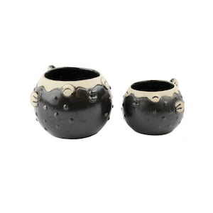 May include: Two black ceramic planters shaped like pufferfish. The larger planter has white details and the smaller planter has white details and a white rim.