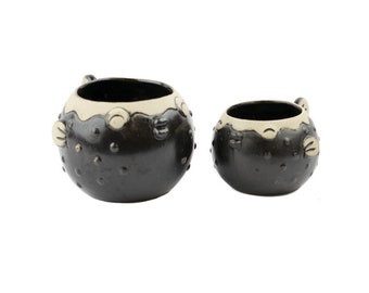 Blow Fish Pottery Planter: vetplant, luchtplant of pennenhouder