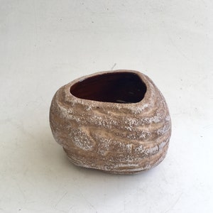 May include: A decorative, textured, stone-like planter with a wide, oval opening. The exterior is a light brown with white accents, and the interior is a dark brown. The planter has a unique, organic shape, suitable for indoor or outdoor use.