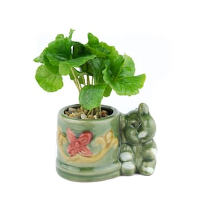 Elephant Glazed Green Planter Potted Plants, Animal Planter, Coffee, Parlor Palm, Hypoestes, Lucky Bamboo, Fern, Unique Gift