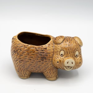 May include: A brown ceramic pig planter with a textured surface. The planter has a rectangular opening on its back and a smiling pig face on the front. The pig has small ears and a snout. The planter is a decorative item.