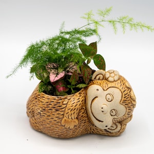 May include: A whimsical, brown ceramic monkey planter filled with a variety of green and pink plants. The monkey has a smiling face and textured fur. The planter is a unique decorative item for home or office.