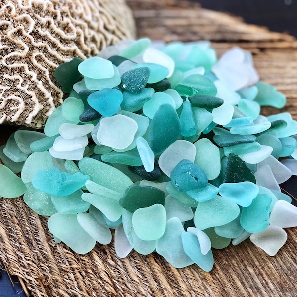 Caribbean Blues Seaglass Bulk - 50 med