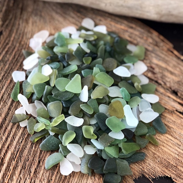 Caribbean Greens Seaglass