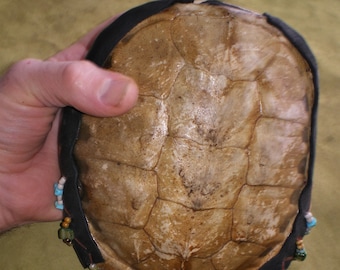 Snapping Turtle Shell Maraca Rhythm Percussion Instrument