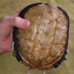 May include: A brown turtle shell with a black leather trim and beaded fringe. The shell has a natural, aged appearance and is decorated with turquoise, blue, and green beads.