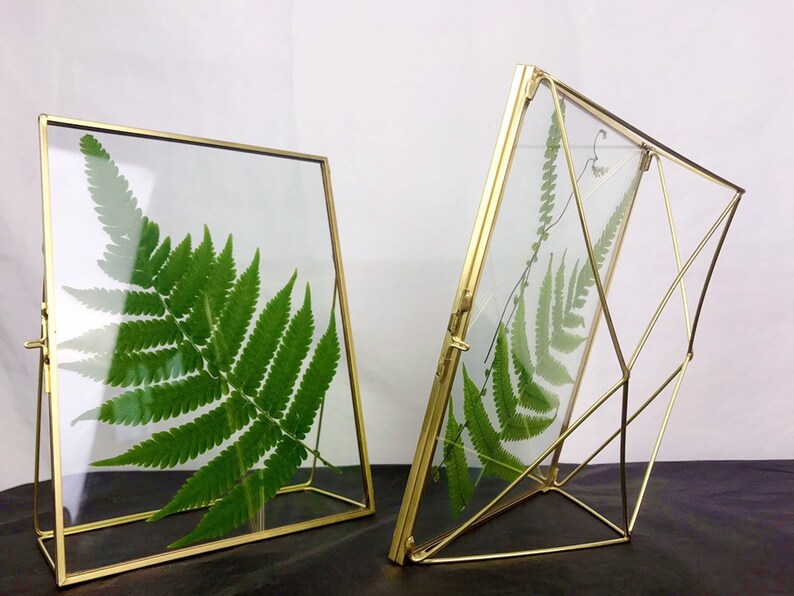 Bronze Picture Frame Brass Glass Divide Polygons For Image 0