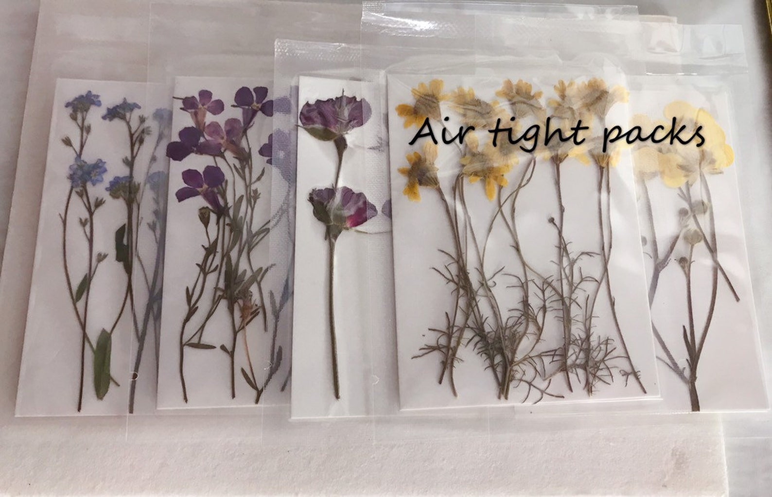 Flowerpack Blooming Rosespressed Flowerpack of 12 Pcsrosedried - Etsy