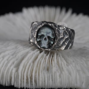 Dragons forever sale rings