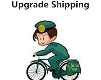 deze link is voor DHL-upgradeverzending, toevoeging Memento Mori Rouwsieraden