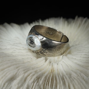 May include: A silver ring featuring a large, oval-shaped, white pearl-like stone set into the top. The ring has a textured, hammered finish and is displayed on a white coral-like surface.