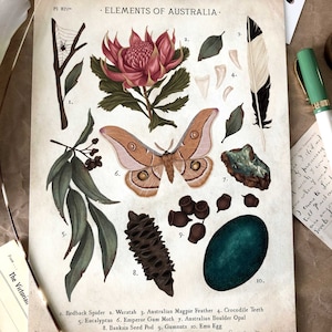 Elements Of Australia Giclée Art Print A4