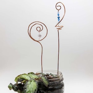 Può includere: Un vaso di vetro con una pianta e due sostegni per piante in filo di rame. Un sostegno ha un design a spirale con un piccolo ciondolo a forma di cuore. L'altro sostegno ha un design a spirale con perline di cristallo blu. La pianta ha foglie verdi e scure.