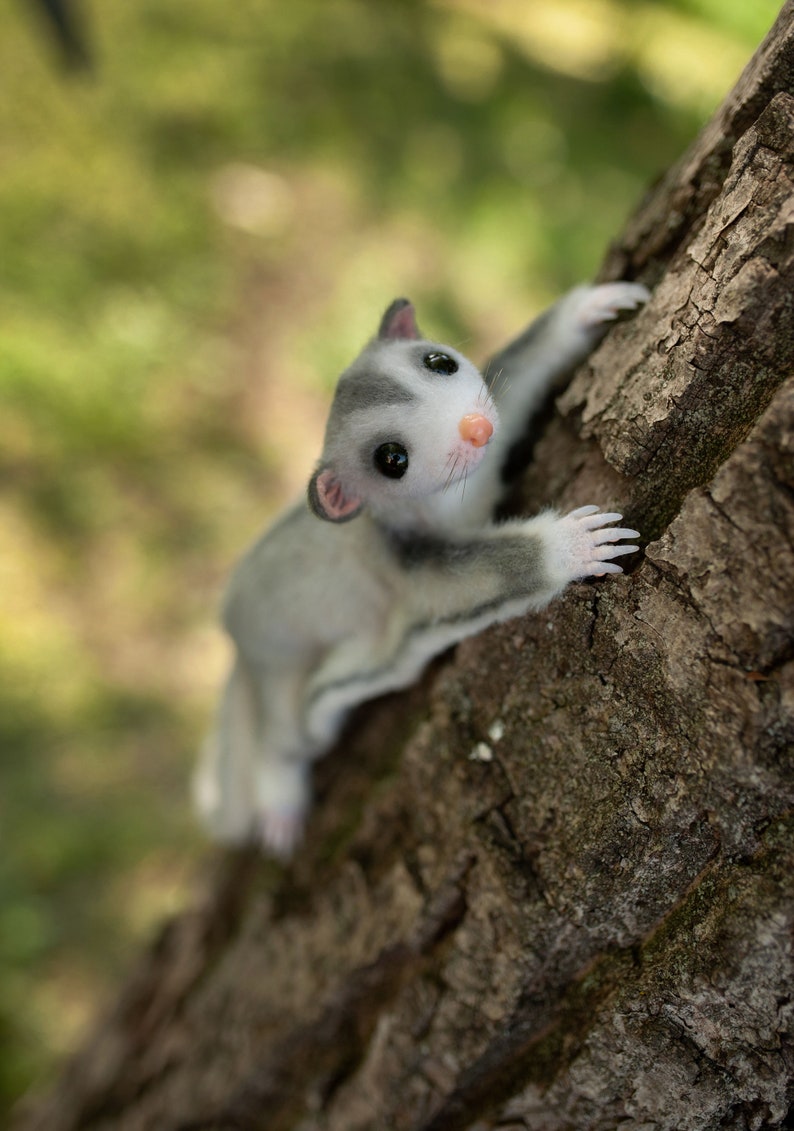 EXAMPLE TOY Made to Order Realistic Sugar Glider Toy Etsy UK