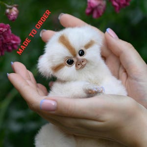 Made to order! Marmoset Monkey Realistic stuffed toy