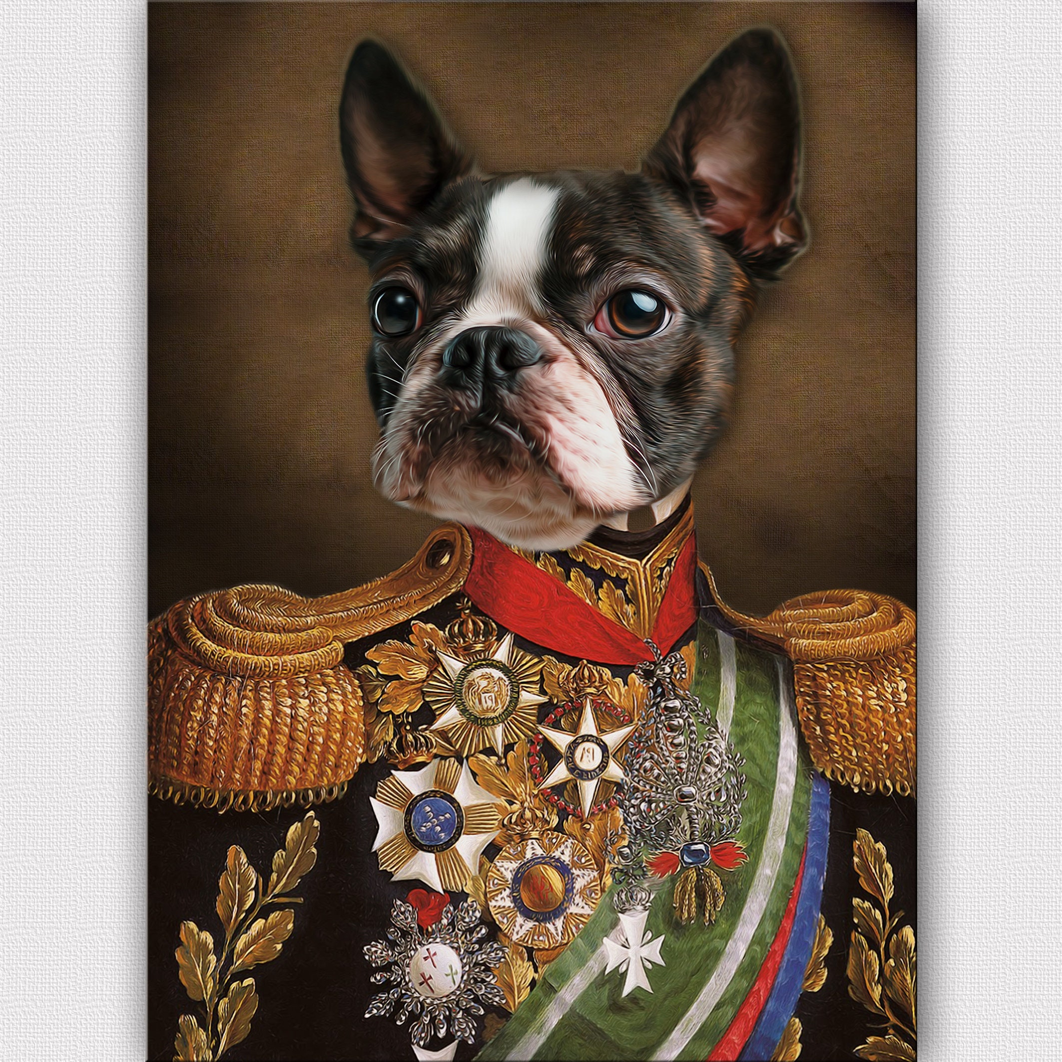 Pet portraits rulesdop