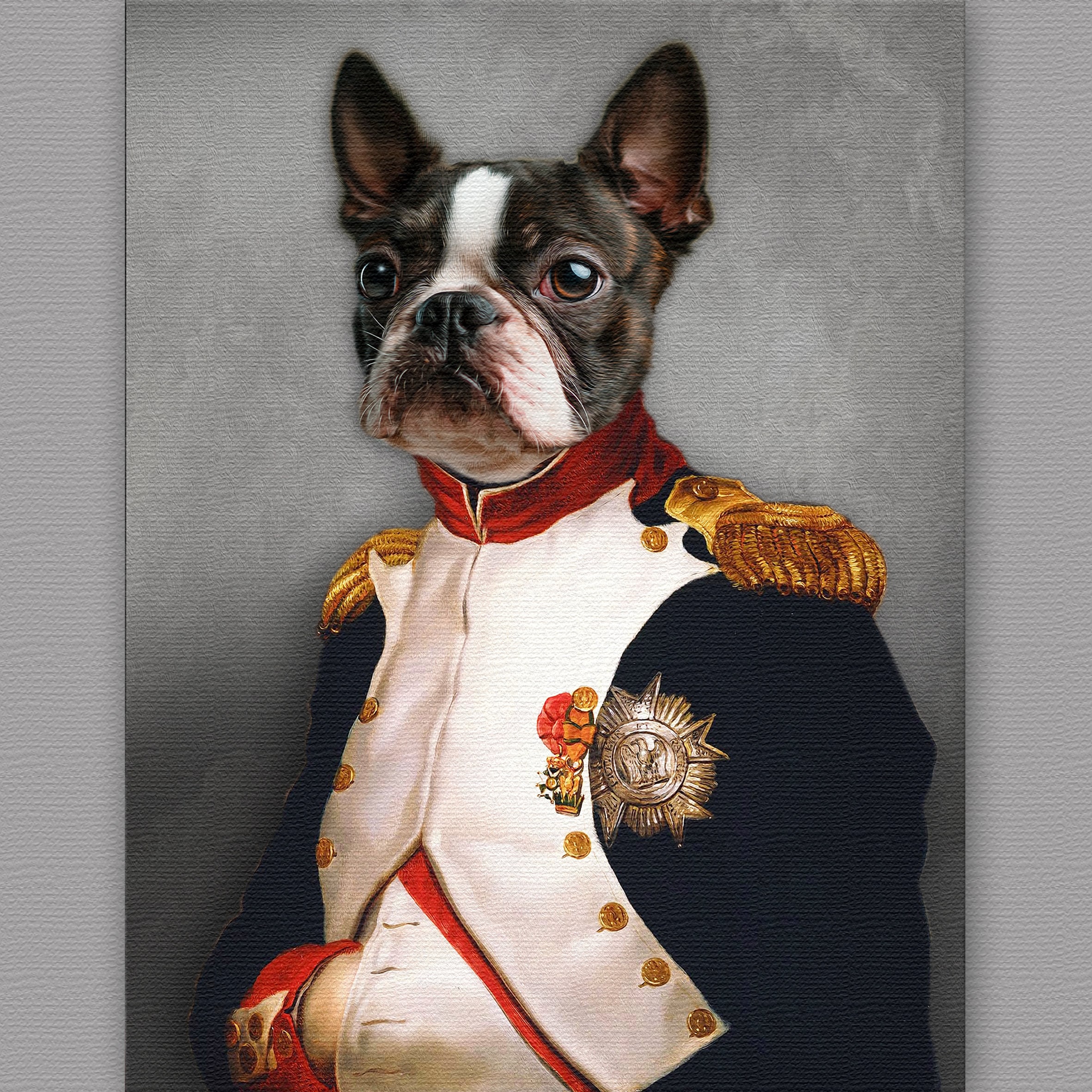 Your pet as Napoleon,Custom pet portrait,Royal Pet ...