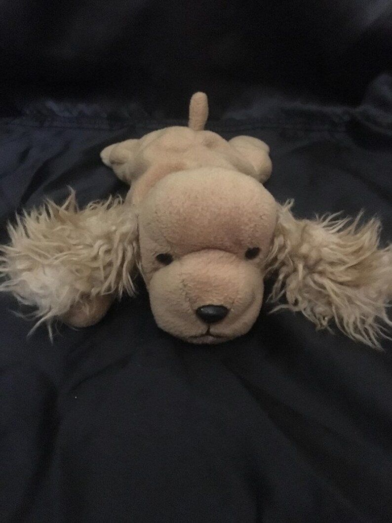 spunky ty beanie baby value