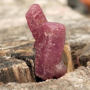 Peut inclure: Une pierre précieuse de rubis rose brute avec une pointe pointue. Le rubis est posé sur un morceau de bois brun brut.